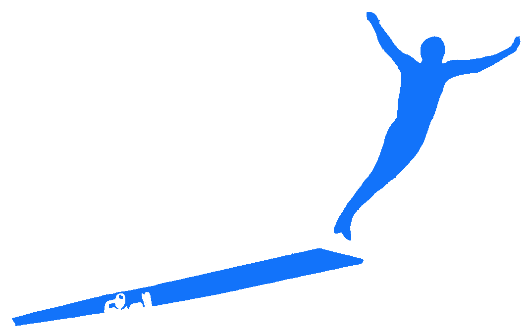 Logo Polyflex blau